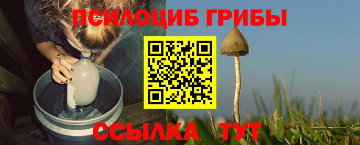 Псилоцибиновые грибы мухоморы Чусовой